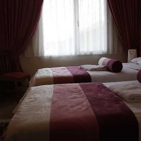 Hanedan Izmir 호텔 2*