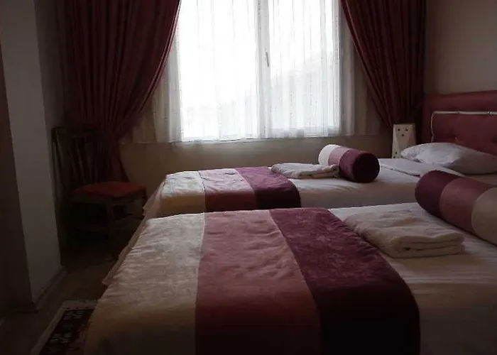 Hanedan Izmir Hotell 2*